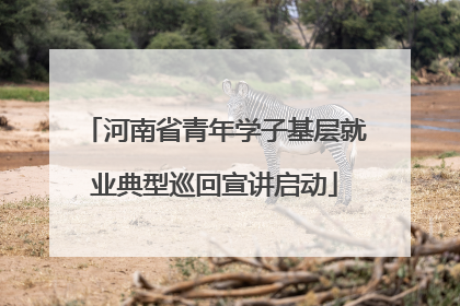 河南省青年学子基层就业典型巡回宣讲启动