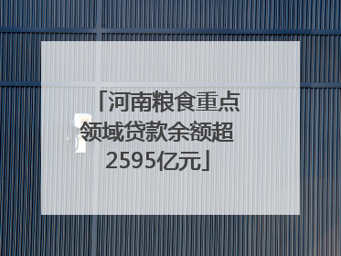 河南粮食重点领域贷款余额超2595亿元