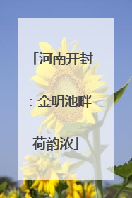 河南开封：金明池畔荷韵浓