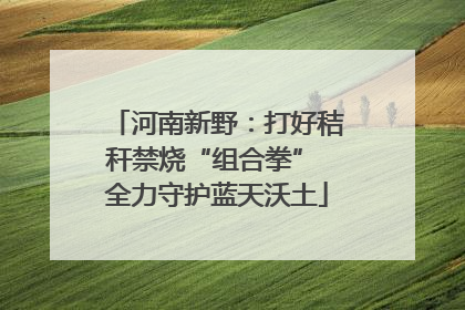 河南新野：打好秸秆禁烧“组合拳” 全力守护蓝天沃土
