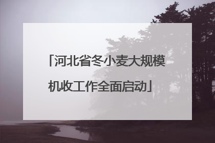 河北省冬小麦大规模机收工作全面启动