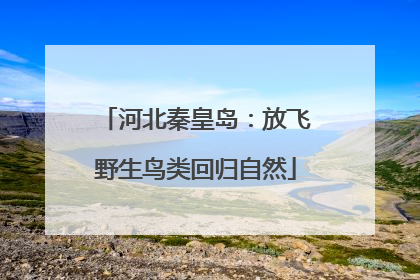 河北秦皇岛：放飞野生鸟类回归自然