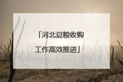 河北夏粮收购工作高效推进
