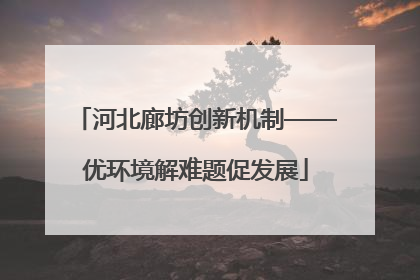 河北廊坊创新机制——优环境解难题促发展