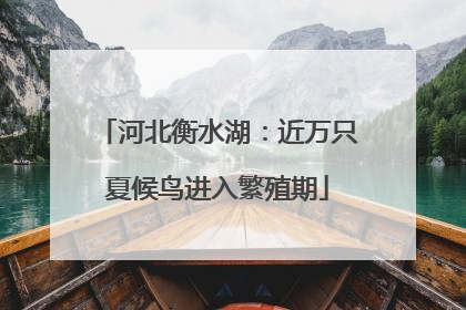 河北衡水湖：近万只夏候鸟进入繁殖期