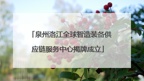 泉州洛江全球智造装备供应链服务中心揭牌成立