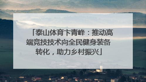 泰山体育卞青峰：推动高端竞技技术向全民健身装备转化，助力乡村振兴