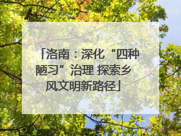 洛南：深化“四种陋习”治理 探索乡风文明新路径