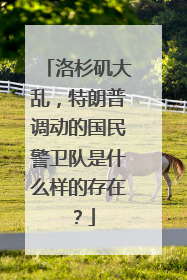 洛杉矶大乱，特朗普调动的国民警卫队是什么样的存在？