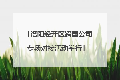 洛阳经开区跨国公司专场对接活动举行