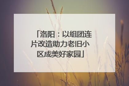 洛阳：以组团连片改造助力老旧小区成美好家园