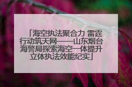 海空执法聚合力 雷霆行动筑天网——山东烟台海警局探索海空一体提升立体执法效能纪实