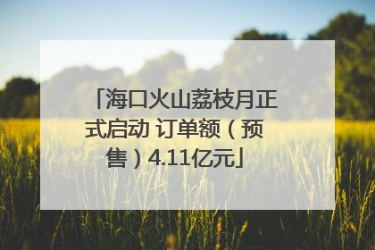 海口火山荔枝月正式启动 订单额（预售）4.11亿元