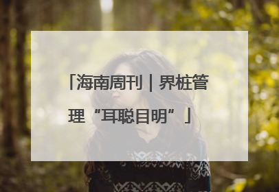 海南周刊｜界桩管理“耳聪目明”