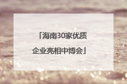 海南30家优质企业亮相中博会