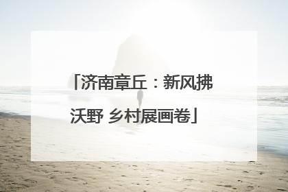 济南章丘：新风拂沃野 乡村展画卷