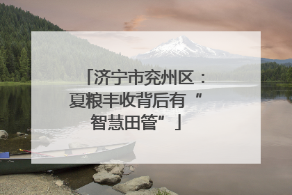 济宁市兖州区：夏粮丰收背后有“智慧田管”