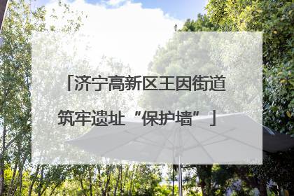济宁高新区王因街道筑牢遗址“保护墙”