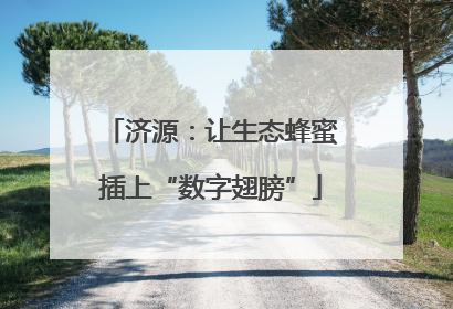 济源：让生态蜂蜜插上“数字翅膀”
