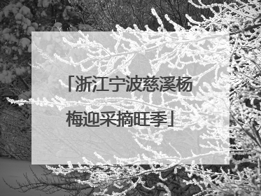 浙江宁波慈溪杨梅迎采摘旺季