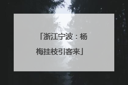 浙江宁波：杨梅挂枝引客来