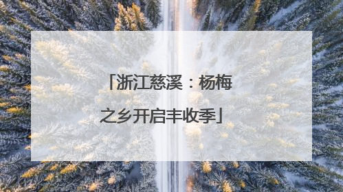 浙江慈溪：杨梅之乡开启丰收季