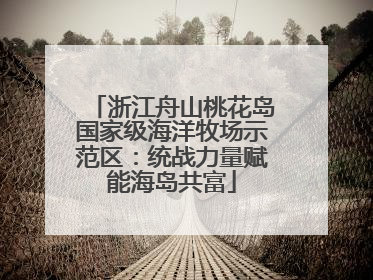 浙江舟山桃花岛国家级海洋牧场示范区：统战力量赋能海岛共富