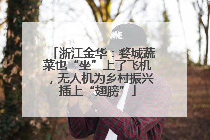 浙江金华：婺城蔬菜也“坐”上了飞机，无人机为乡村振兴插上“翅膀”