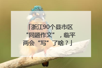 浙江90个县市区“同题作文”，临平两会“写”了啥？