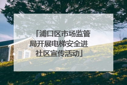 浦口区市场监管局开展电梯安全进社区宣传活动
