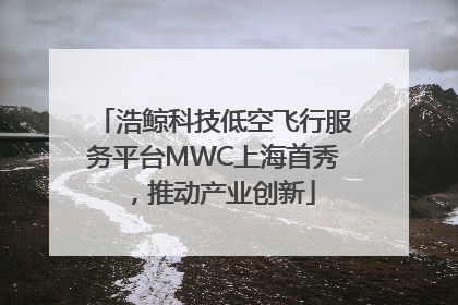 浩鲸科技低空飞行服务平台MWC上海首秀，推动产业创新