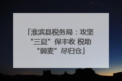 淮滨县税务局：攻坚“三夏”保丰收 税助“弱麦”尽归仓