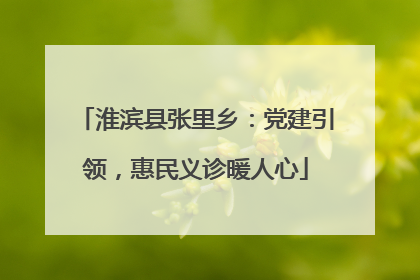 淮滨县张里乡：党建引领，惠民义诊暖人心