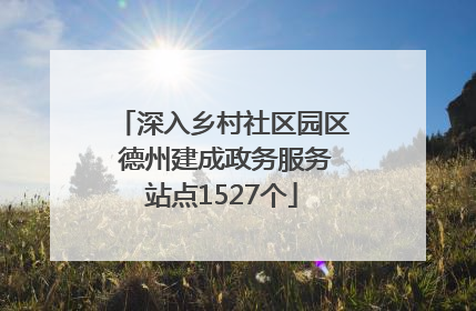 深入乡村社区园区 德州建成政务服务站点1527个