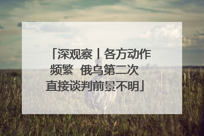 深观察丨各方动作频繁  俄乌第二次直接谈判前景不明