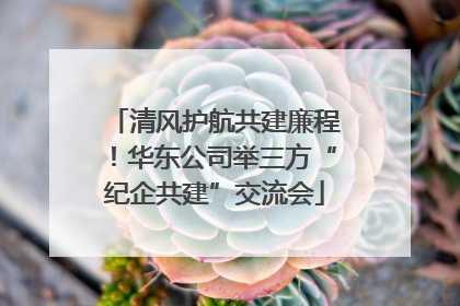 清风护航共建廉程！华东公司举三方“纪企共建”交流会