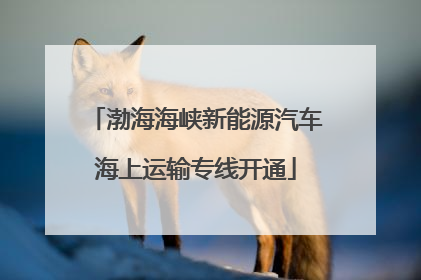 渤海海峡新能源汽车海上运输专线开通