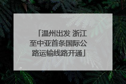 温州出发 浙江至中亚首条国际公路运输线路开通