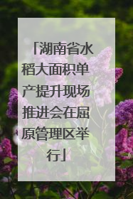 湖南省水稻大面积单产提升现场推进会在屈原管理区举行
