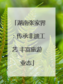 湖南张家界：传承非遗工艺 丰富旅游业态