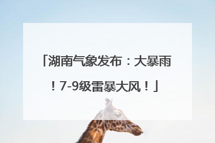 湖南气象发布：大暴雨！7-9级雷暴大风！
