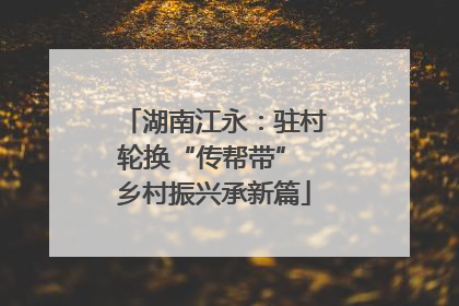 湖南江永：驻村轮换“传帮带” 乡村振兴承新篇