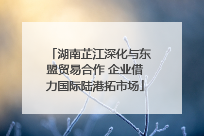 湖南芷江深化与东盟贸易合作 企业借力国际陆港拓市场