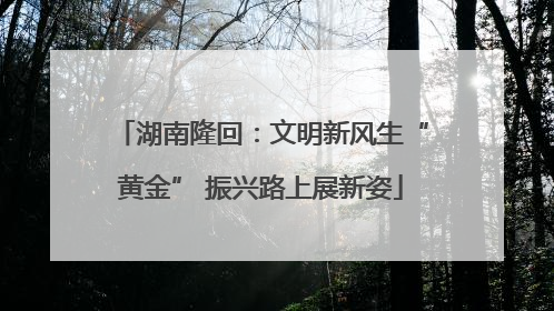 湖南隆回：文明新风生“黄金” 振兴路上展新姿