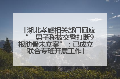 湖北孝感相关部门回应“一男子称被交警打断9根肋骨未立案”：已成立联合专班开展工作
