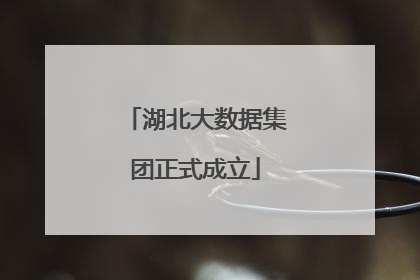 湖北大数据集团正式成立