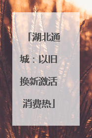 湖北通城：以旧换新激活消费热