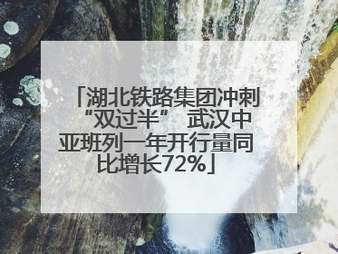 湖北铁路集团冲刺“双过半” 武汉中亚班列一年开行量同比增长72%
