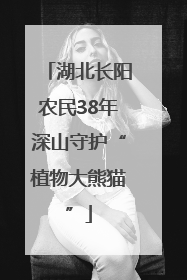 湖北长阳农民38年深山守护“植物大熊猫”
