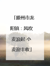 滕州市龙阳镇：风吹麦浪起 小麦迎丰收